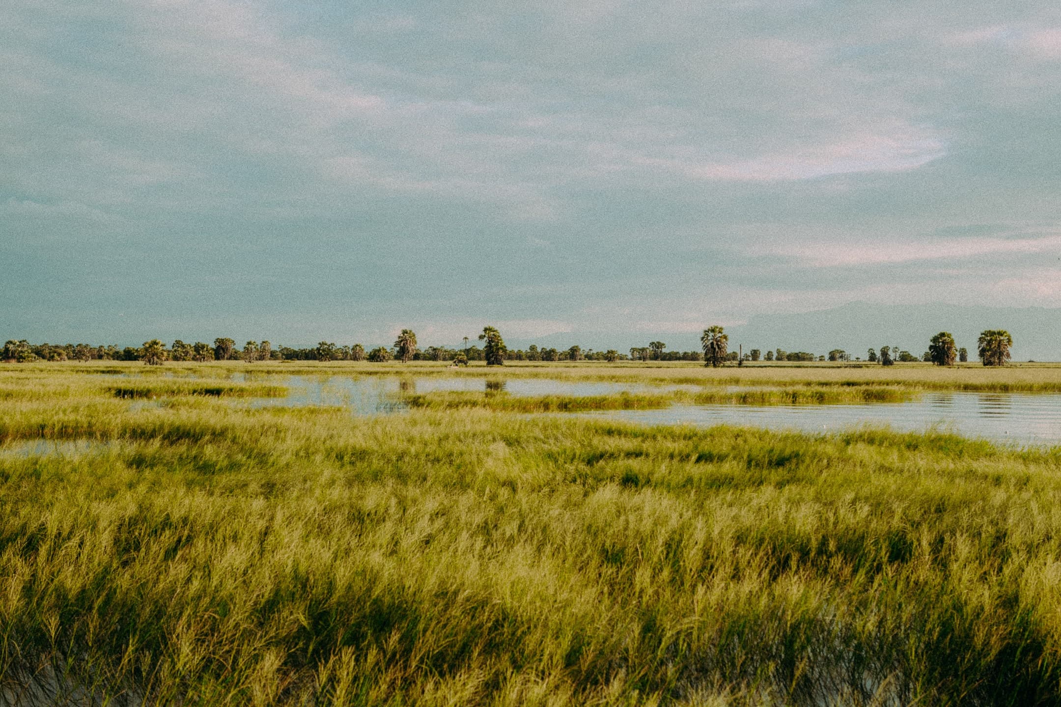 photograph 29