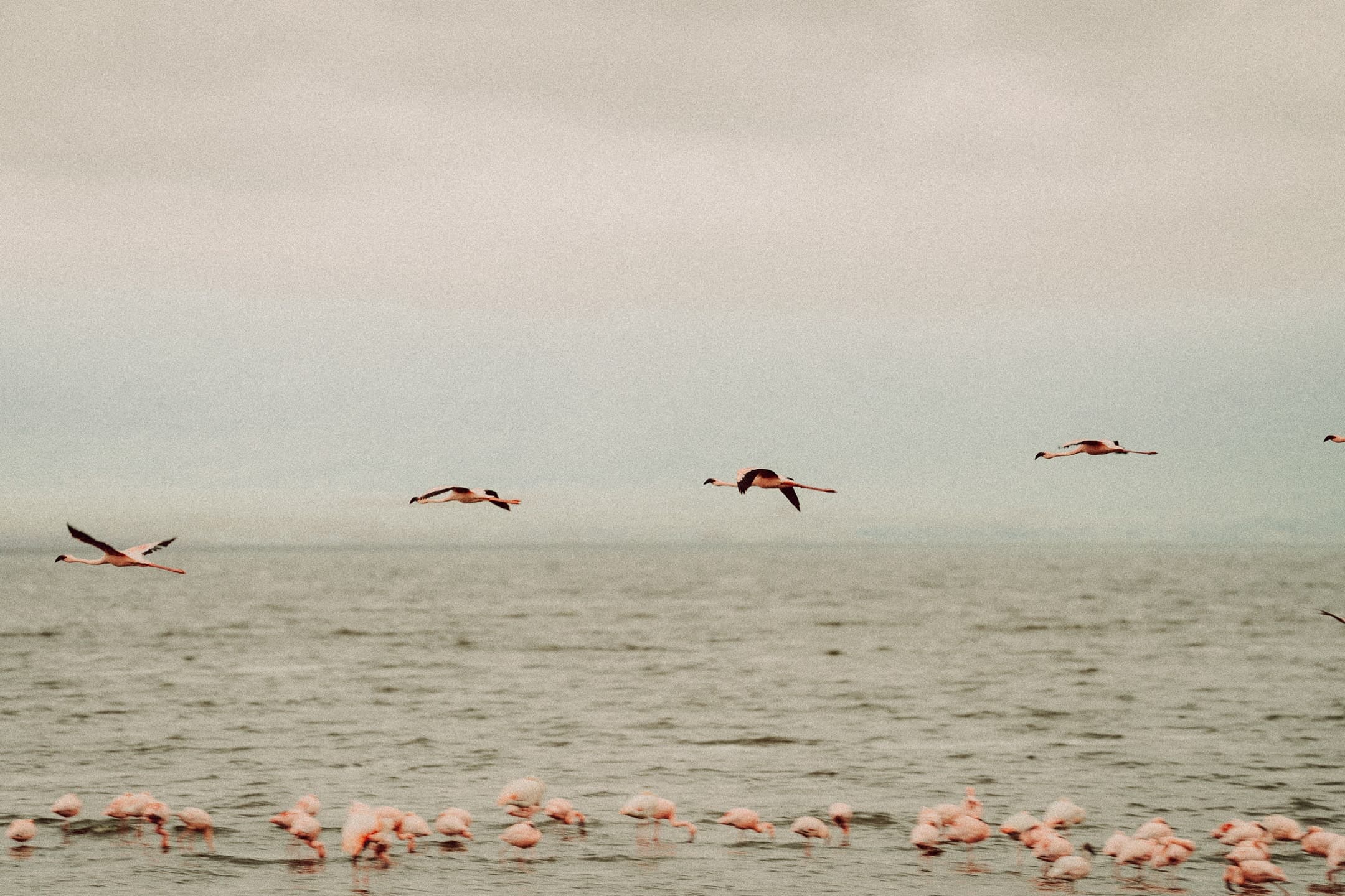 photograph 41