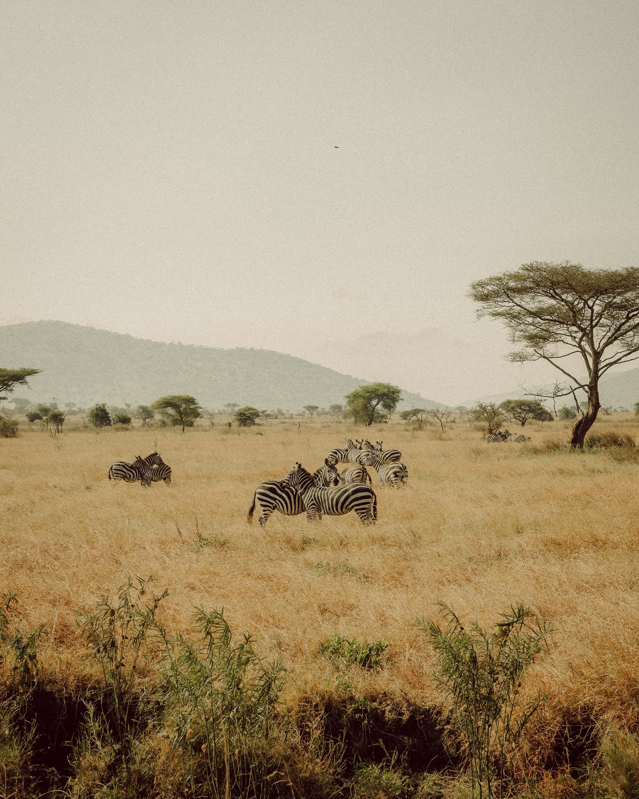 photograph 56