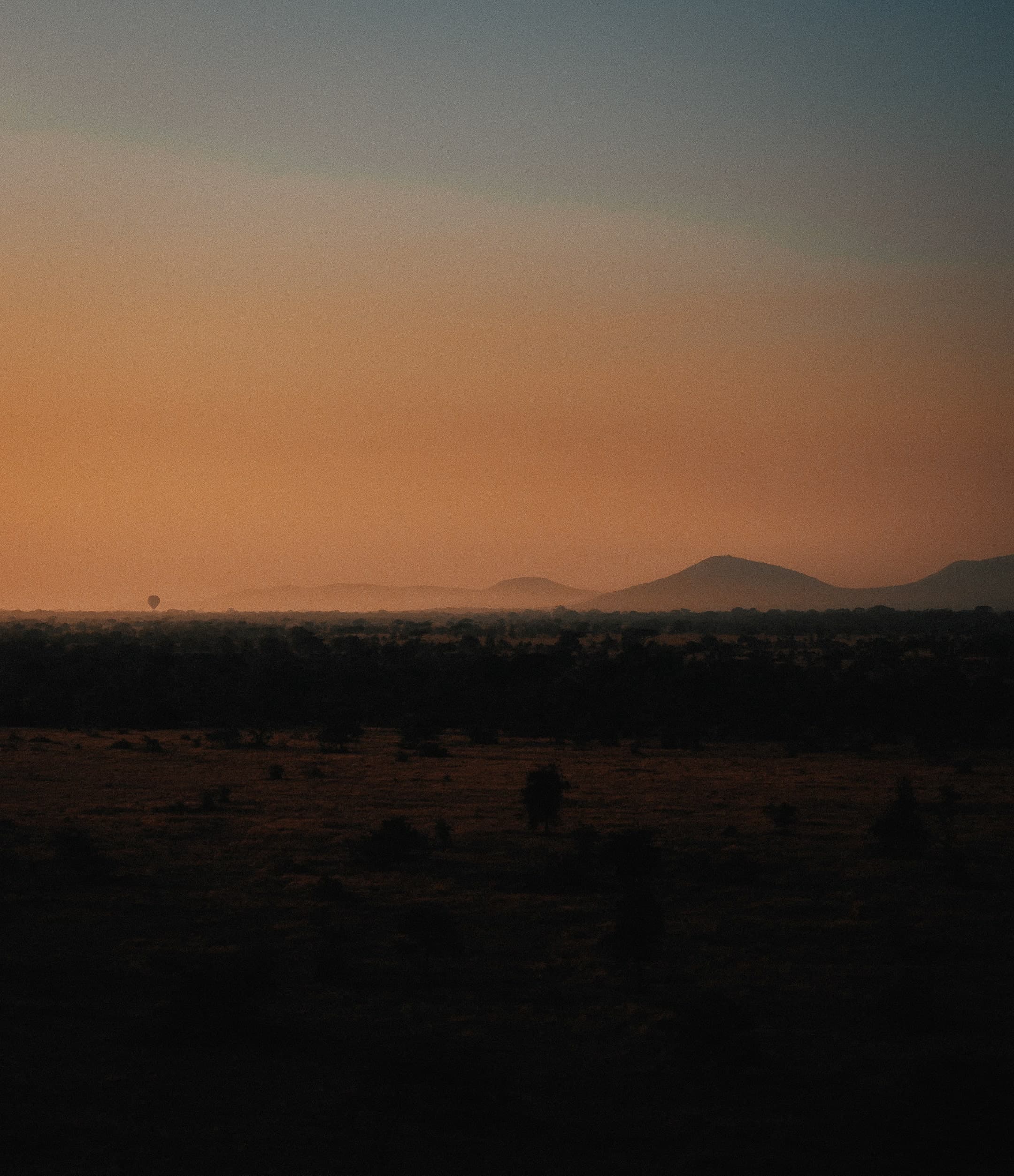 photograph 60