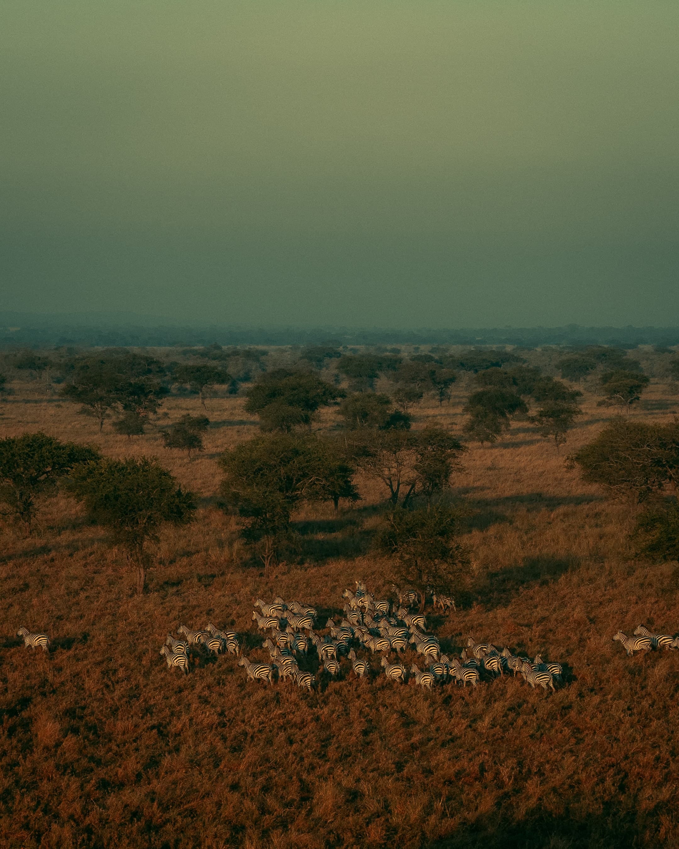 photograph 61