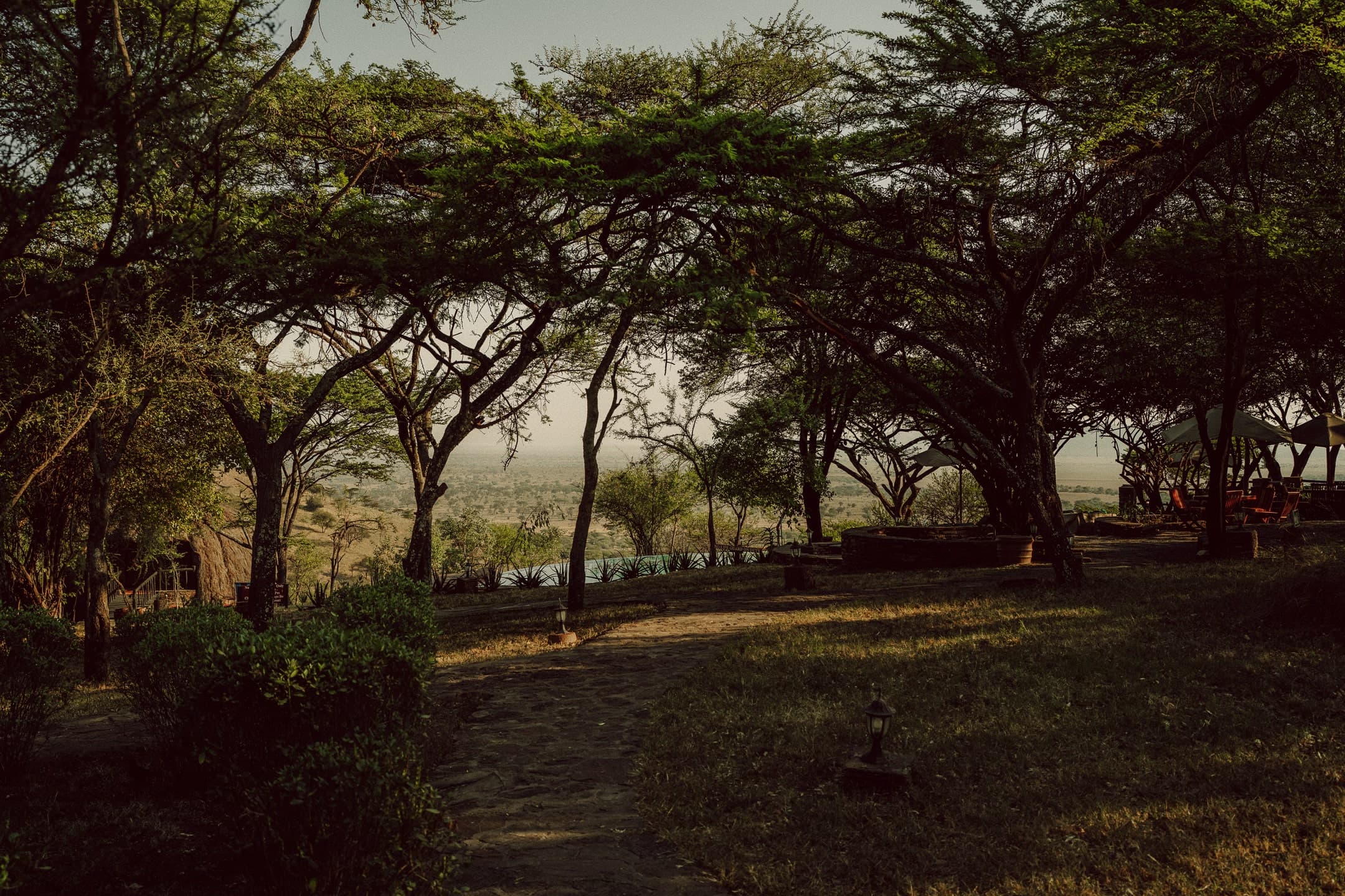 photograph 70