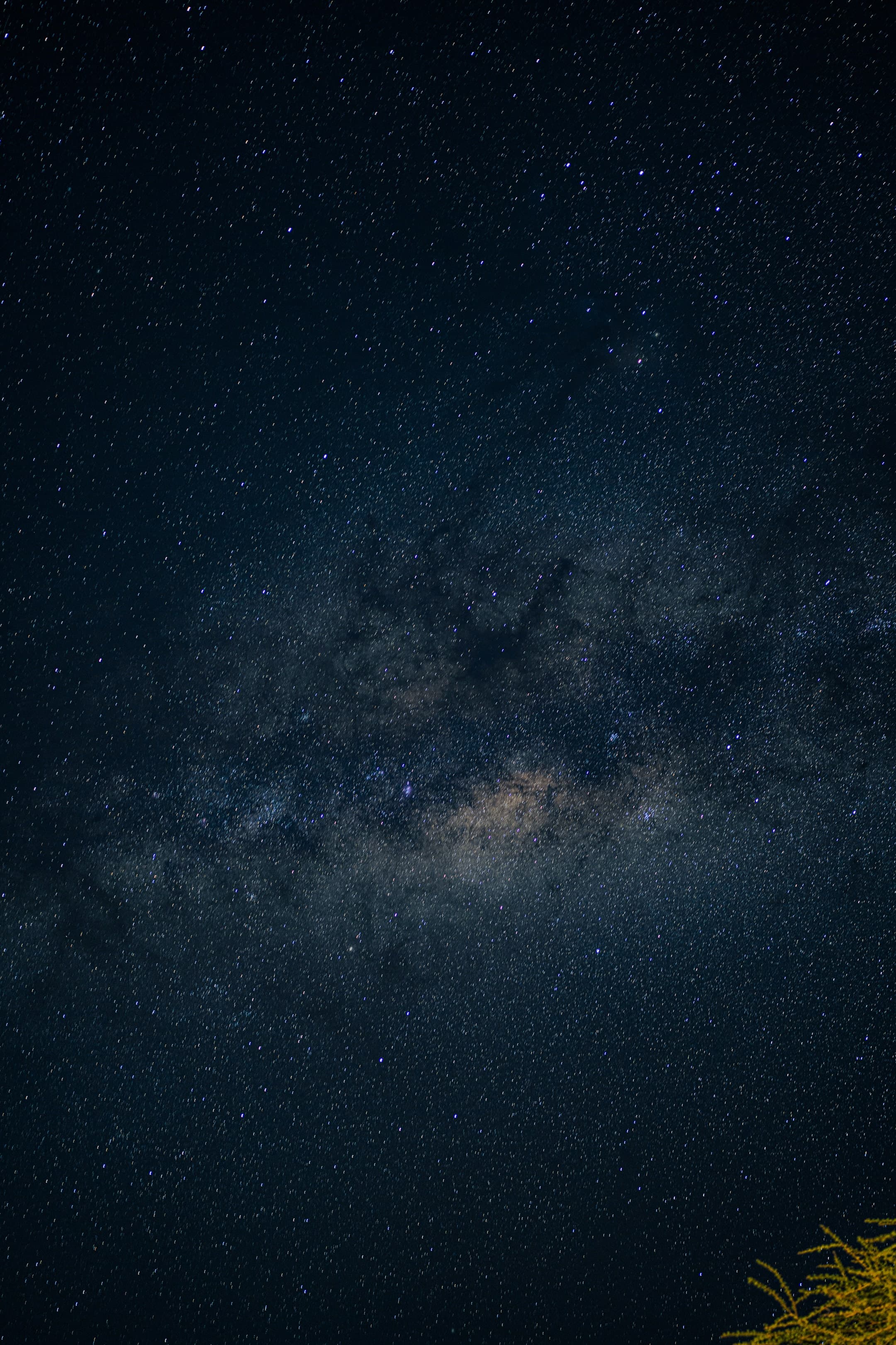 photograph 71