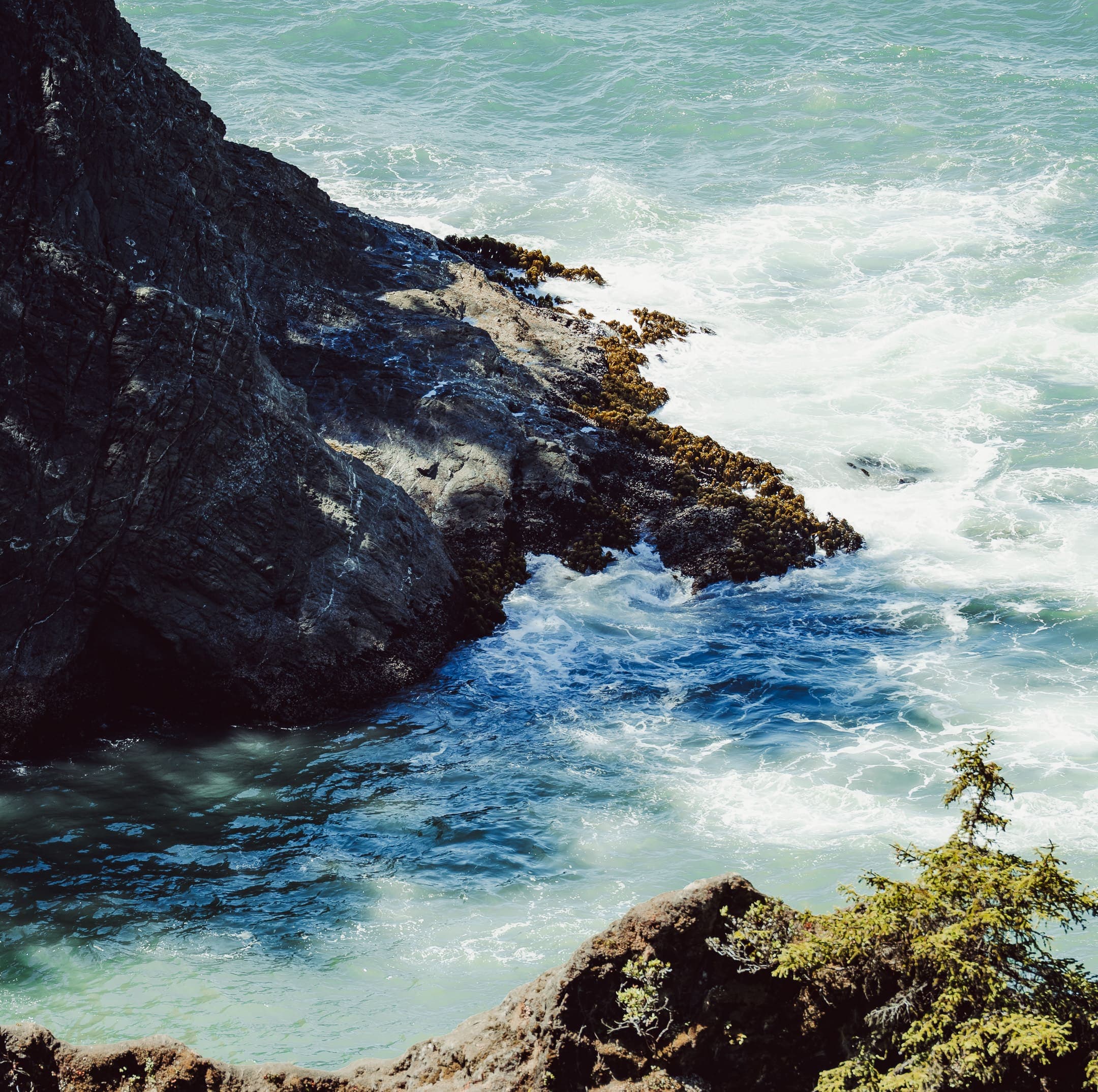 photograph 16