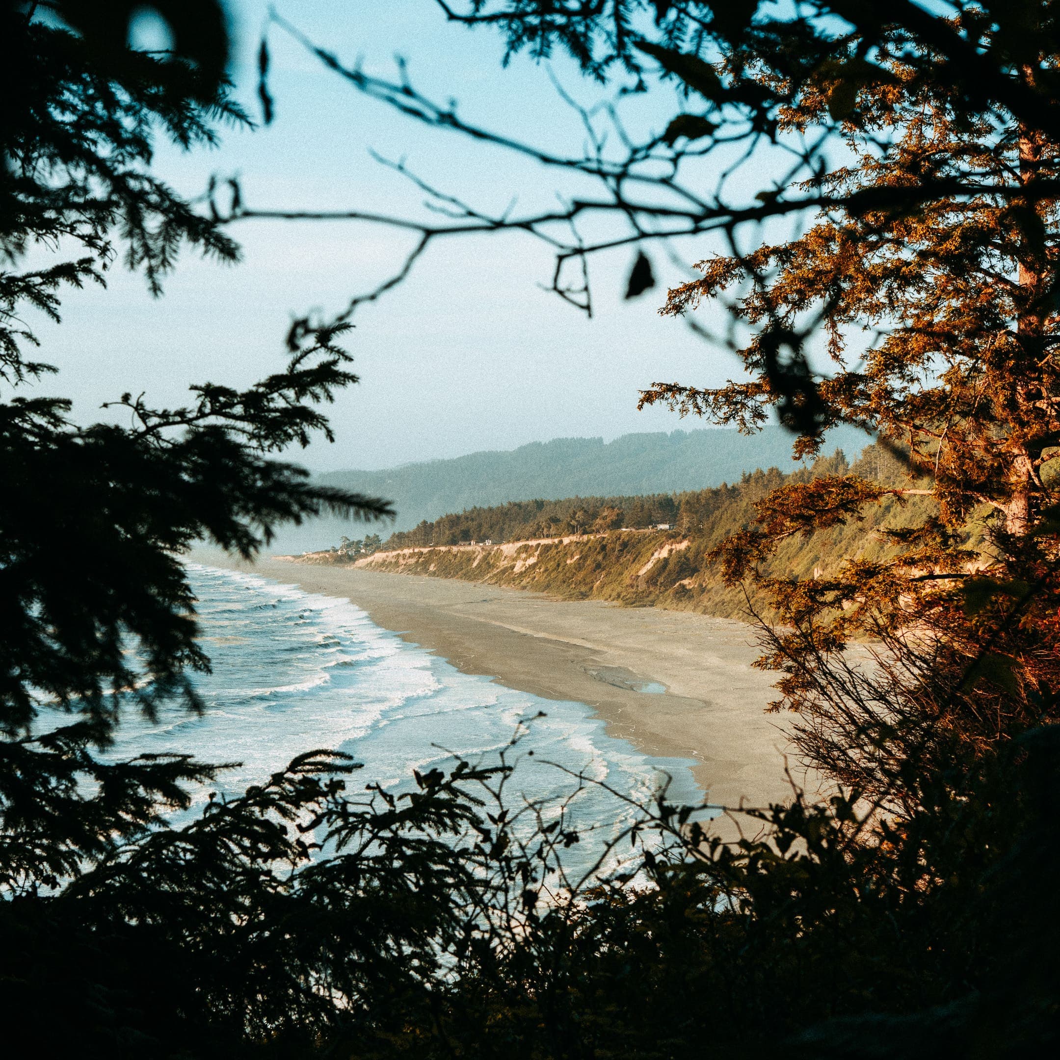 photograph 28