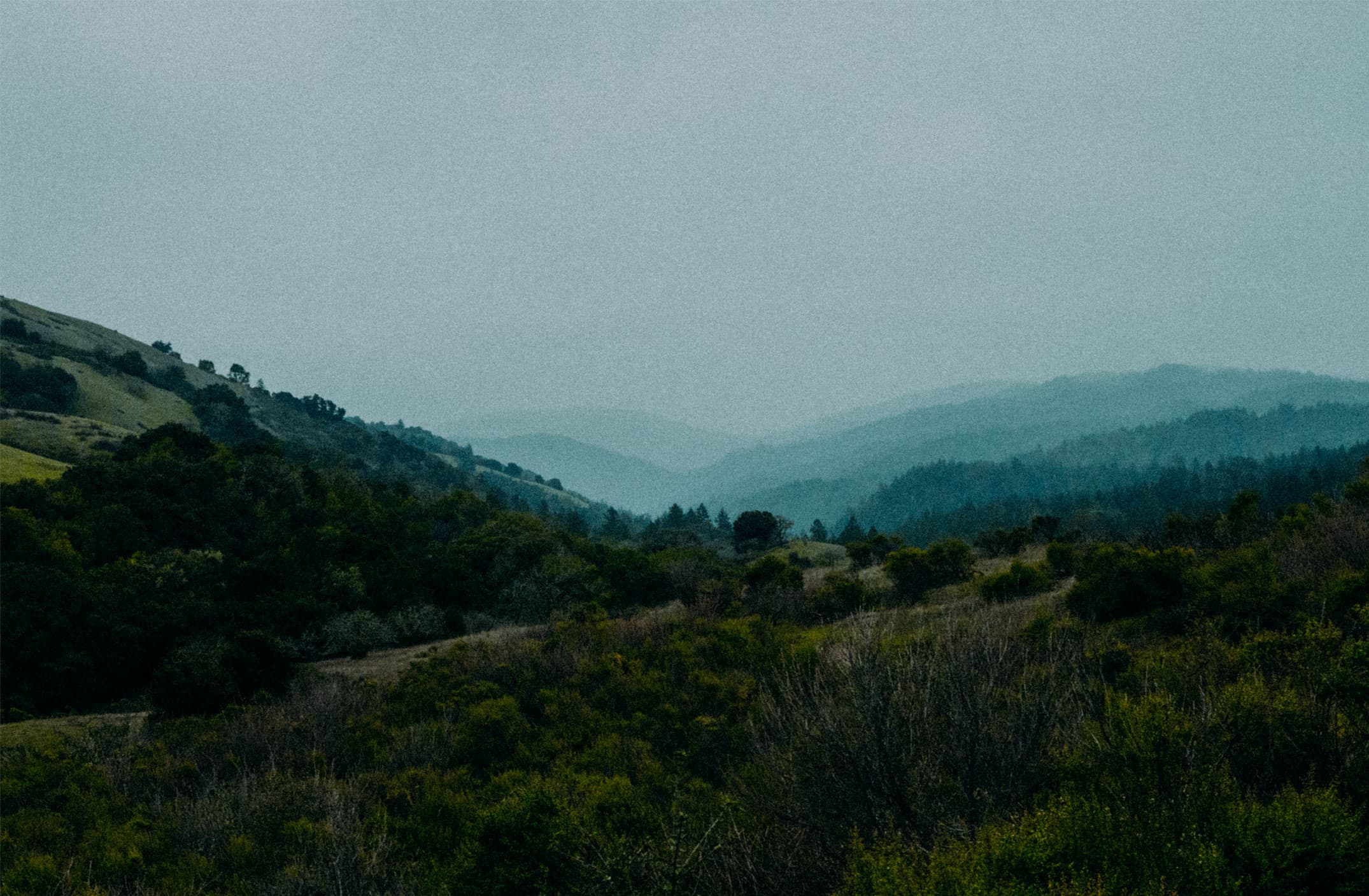 photograph 13