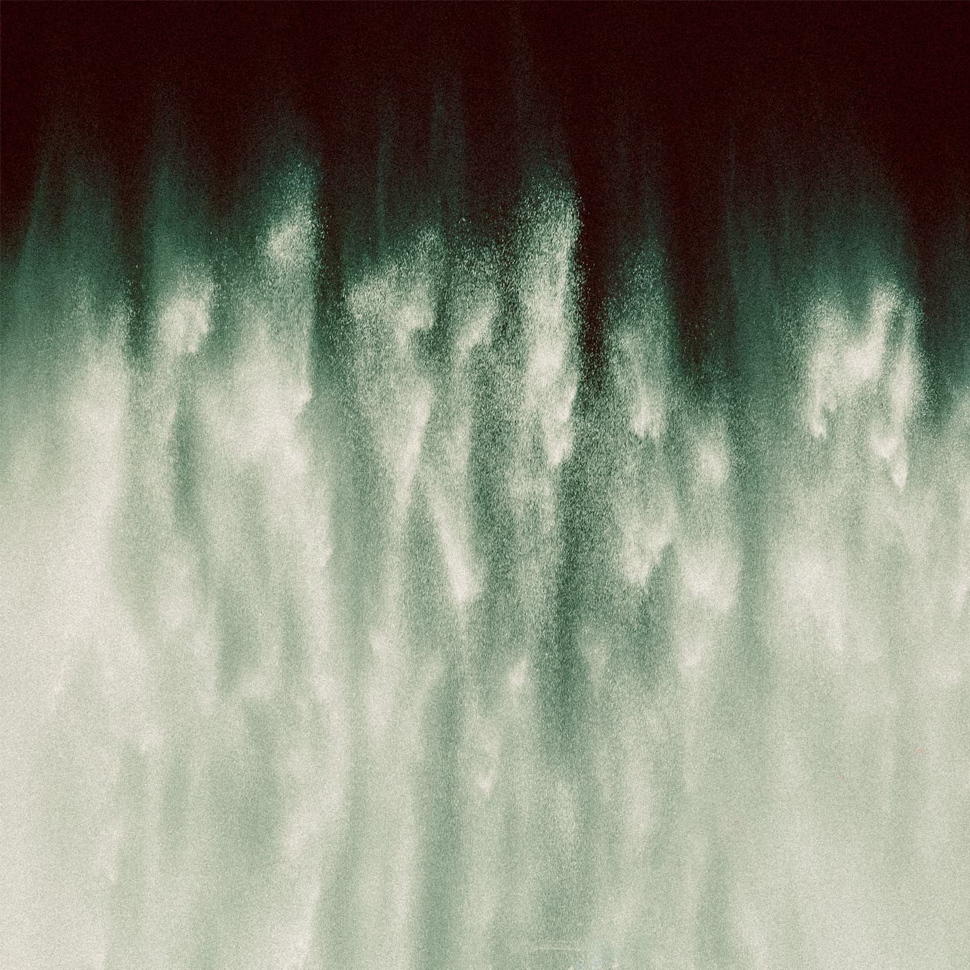 photograph 15